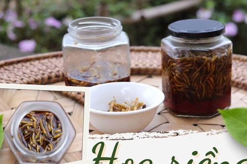 Hoa riềng ngâm mắm
