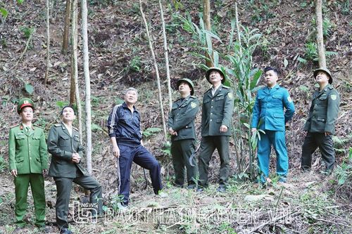 Phát triển giá trị đa dụng từ rừng
