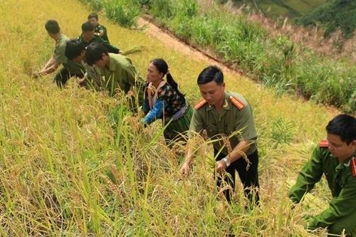 Mang lại bình yên các bản làng dân tộc Mông ở Sơn La