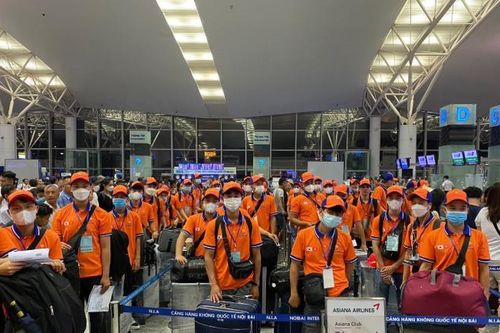Người lao động có thể làm thực tập sinh tại Nhật Bản như thế nào?