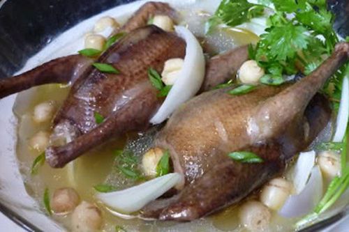 Những tác dụng tuyệt vời của chim bồ câu đối với sức khỏe