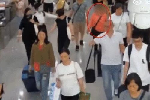 Thấy người phụ nữ vội vàng di chuyển, hải quan liền chặn đứng, phát hiện bí mật 'khủng' trong chiếc túi xách nặng trĩu