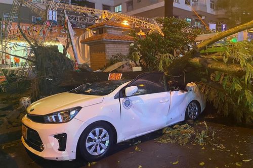 Hà Nội: Hàng loạt xe ô tô con bị cây xanh đổ trúng trong cơn giông