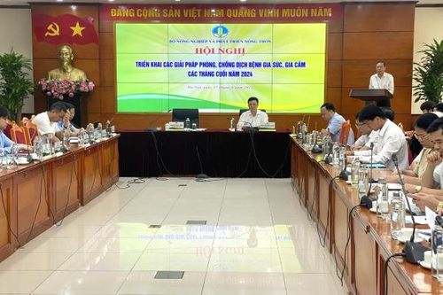 Gần 97.000 người bị chó dại cắn, 44 người đã tử vong