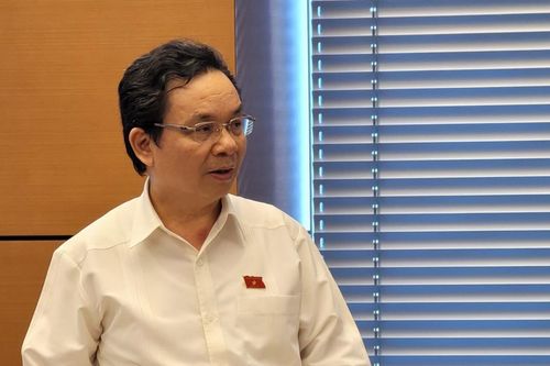 ĐBQH: cân nhắc áp dụng thuế suất thuế giá trị gia tăng 5% với phân bón