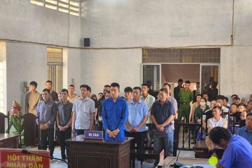 Tuyên án 14 bị cáo liên quan đến vụ phá rừng quy mô lớn tại xã Ya Tờ Mốt