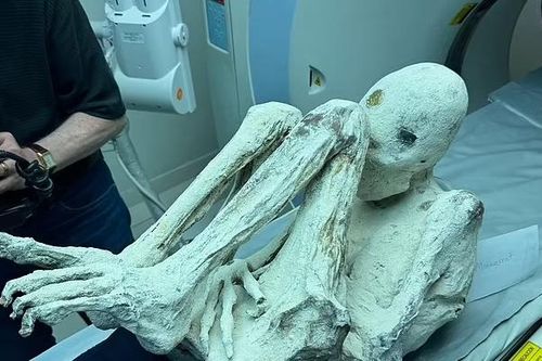 Xác ướp 'người ngoài hành tinh' ở Peru có thể chuyển đến Mỹ để xét nghiệm DNA