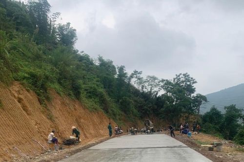 Đà Bắc (Hòa Bình): Đơn vị tham gia đấu thầu không còn nợ thuế