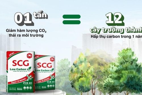 Thị trường vật liệu xanh xuất hiện thêm xi măng carbon thấp