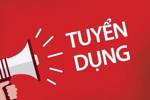 Báo VietNamNet tuyển dụng phóng viên Kinh doanh