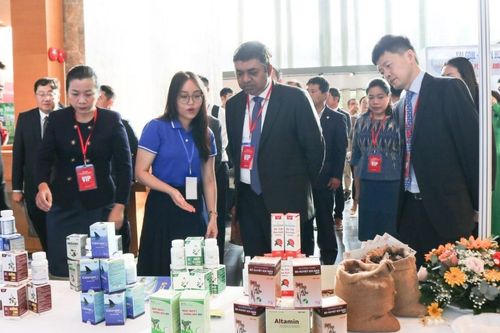 Nhiều doanh nghiệp Ấn Độ sẽ đến Bình Định tìm cơ hội hợp tác đầu tư