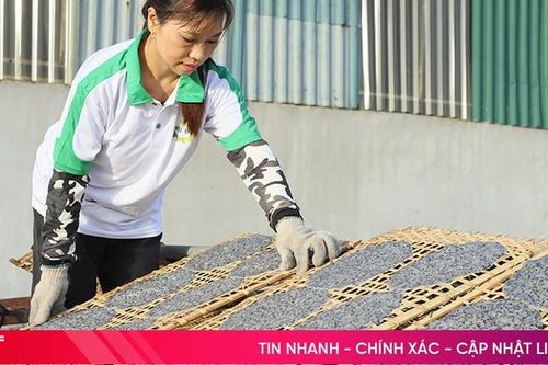 Bánh đa gia vị Phú Tài: 'Sứ giả' phố núi đạt chuẩn OCOP 3 sao