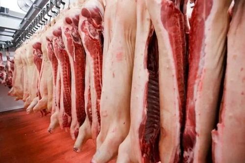 Trung Quốc điều tra chống bán phá giá thịt lợn nhập khẩu từ EU