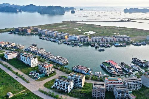 Cương quyết đình chỉ hoạt động các cơ sở kinh doanh du lịch dịch vụ vi phạm