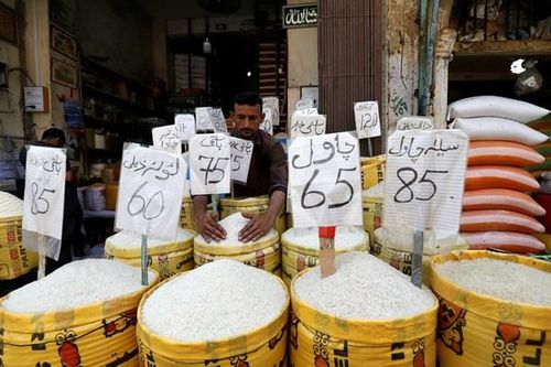 Gạo Pakistan đắt hàng sau lệnh cấm xuất khẩu của Ấn Độ