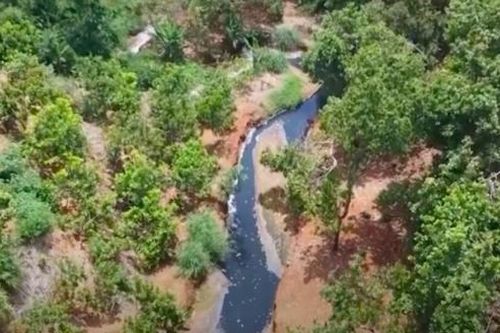 Bình Phước: Đã tìm ra nguyên nhân suối Tân bị ô nhiễm