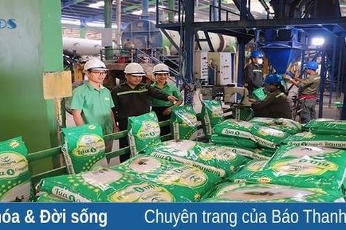 Xây dựng giá trị thương hiệu sản phẩm để nâng cao vị thế trên thị trường