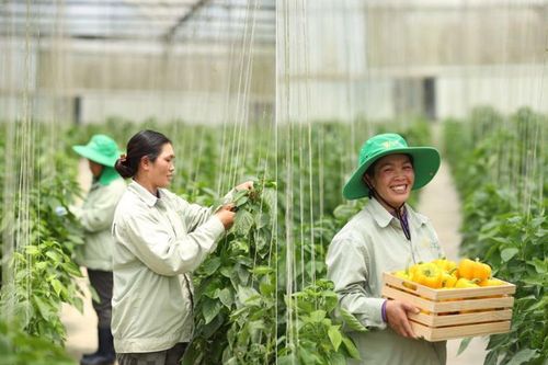 Nông trường WinEco, nơi 'gieo trồng' những nụ cười hạnh phúc