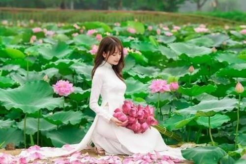 Hương sen mùa hạ