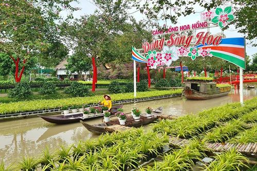 Phấn đấu năm 2024, du lịch Đồng Tháp thu hút 4,2 triệu lượt khách đến tham quan, trải nghiệm