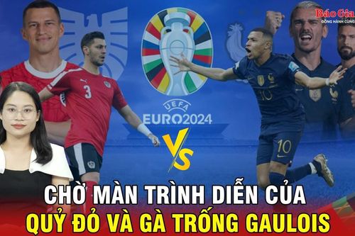 Chờ màn trình diễn của Quỷ đỏ và Gà trống Gaulois
