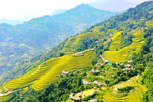 Xây dựng thương hiệu du lịch gắn với di sản ruộng bậc thang