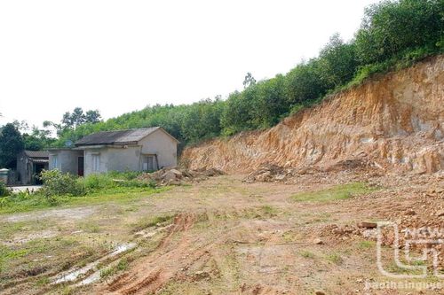 Chỉ đạo kiểm tra, xử lý tình trạng khai thác đất trái phép tại Bình Sơn