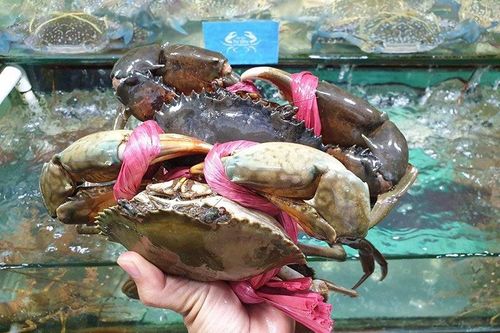 Thực hư thông tin cua sống miền Tây bị từ chối vận chuyển xuất sang Trung Quốc