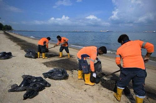 Nguyên nhân sự cố tràn dầu tại Cảng Pasir Panjang, Singapore
