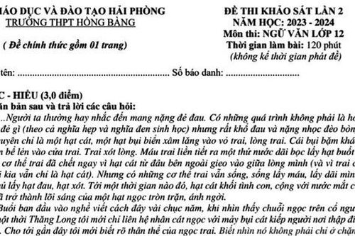 Đề khảo sát Ngữ văn: Cần phải làm gì khi đối diện với những vết thương lòng?
