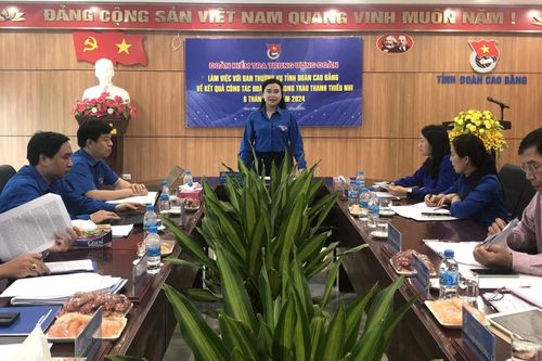Trung ương Đoàn làm việc với Ban Thường vụ Tỉnh đoàn về công tác Đoàn và phong trào thanh, thiếu nhi