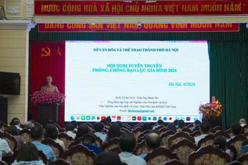 Bạo lực gia đình giảm nhưng nạn nhân là nam giới tăng