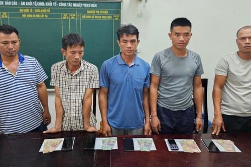Bắt 5 đối tượng đánh bạc bằng hình thức chọi trâu ở Nghệ An
