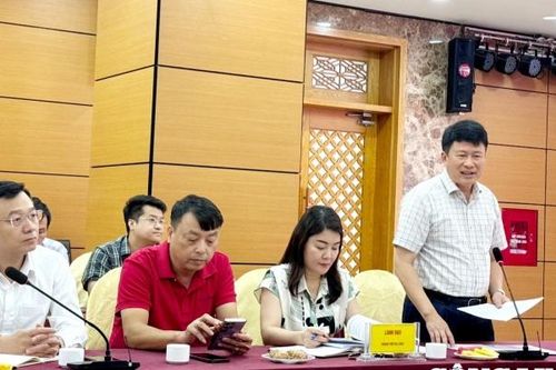 Hạ Long (Quảng Ninh): Sẽ trở thành thành phố hoa và lễ hội