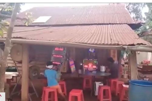 6 người bị chó dại cắn, 1 người tử vong