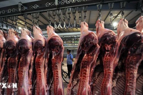 Trung Quốc điều tra chống bán phá giá đối với sản phẩm thịt lợn của EU