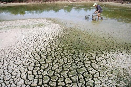 Hành động có trách nhiệm chung tay chống sa mạc hóa