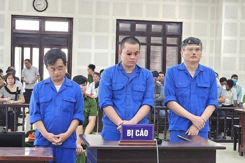 Câu kết gian dối đăng kiểm, chia nhau 28 năm tù