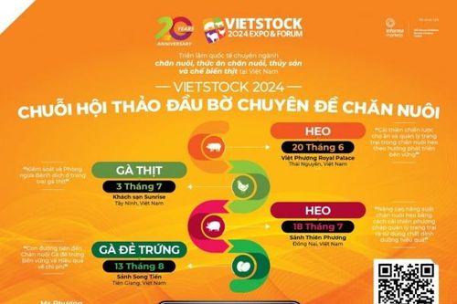 Chuỗi hội thảo đầu bờ của Vietstock chính thức được khởi động vào tháng 6