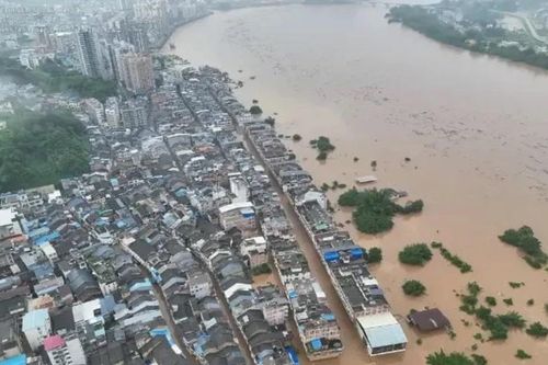 20 người chết và mất tích, 13 người mắc kẹt do mưa lũ ở Trung Quốc