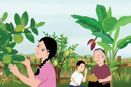 Khu vườn nhà ngoại