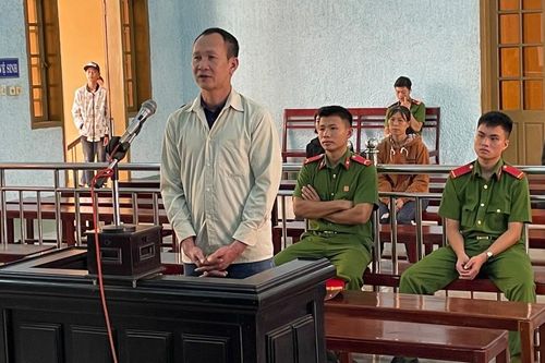 11 năm tù cho đối tượng trộm cắp trâu, bò