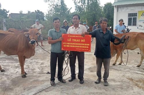 Trao bò giống cho 19 hộ cận nghèo ở xã Ia Rmok