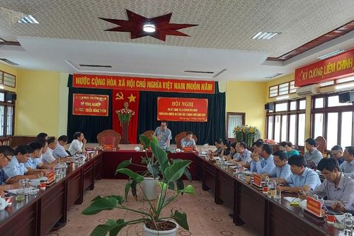 Gia Lai chuyển đổi 5.458 ha cây trồng kém hiệu quả
