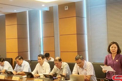 Đoàn đại biểu Quốc hội tỉnh Sơn La tiếp tục tham gia thảo luận tại tổ