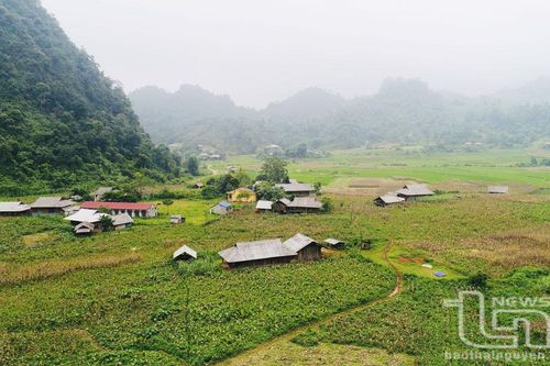 Trăn trở Thượng Nung