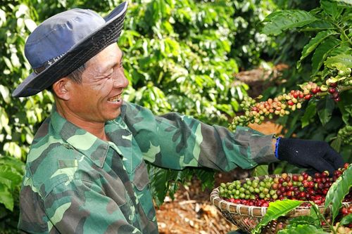 Nhu cầu NPK tháng 6/2024 ước tăng gấp 3 lần, Đạm Cà Mau (DCM) tập trung gia tăng thị phần