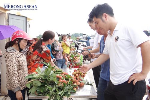 Giá vải thiều Bắc Giang biến động theo từng ngày
