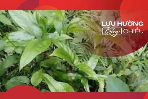 Đắng cay mới thấy ngọt bùi