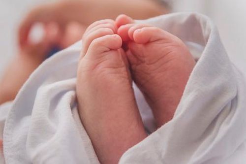 Người đăng ảnh 'sinh con thuận tự nhiên' nói gì khi CDC Hà Nội đến nhà kiểm tra?
